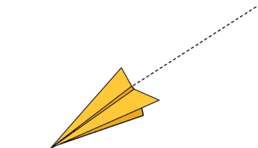 vector